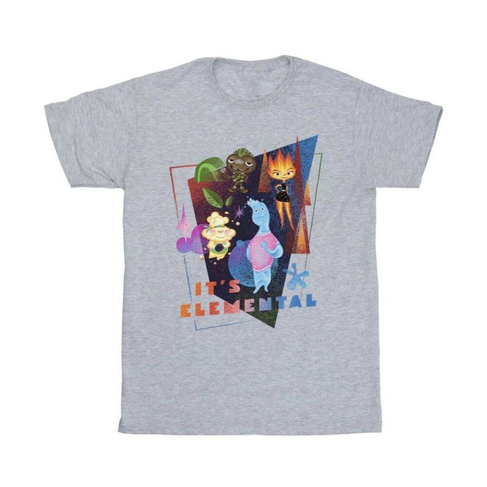 Elemental Boys It�'s Elemental T-Shirt / Sport Grey